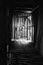 the_door